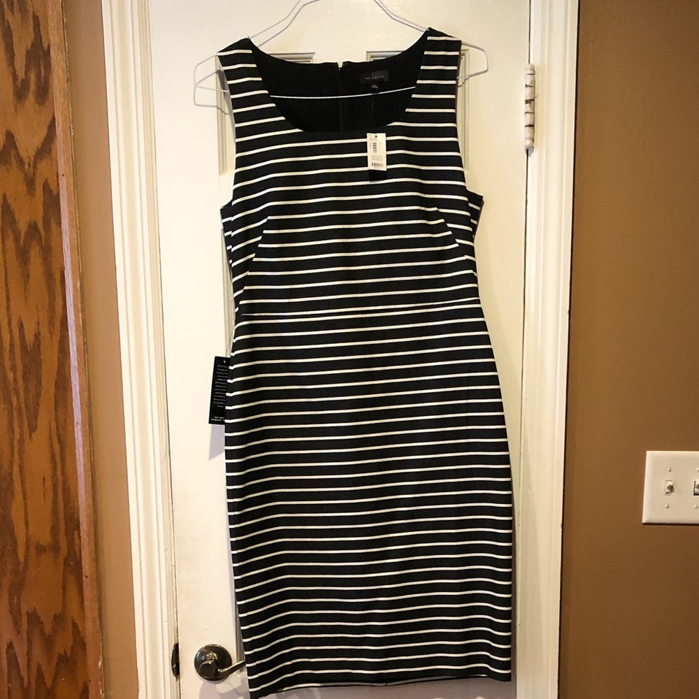 The Limited Navy and White Striped Dress
